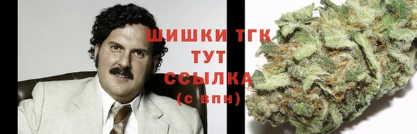 бошки Дмитров
