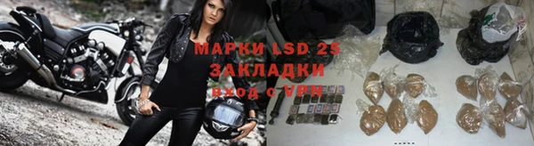 бошки Дмитров