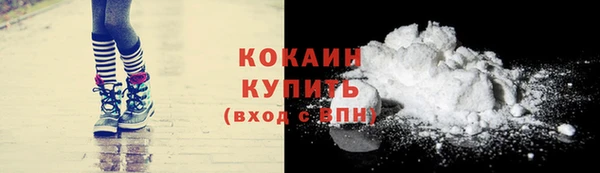 бошки Дмитров